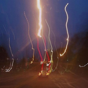 Nellie Feldmann - The Adults Are Talking